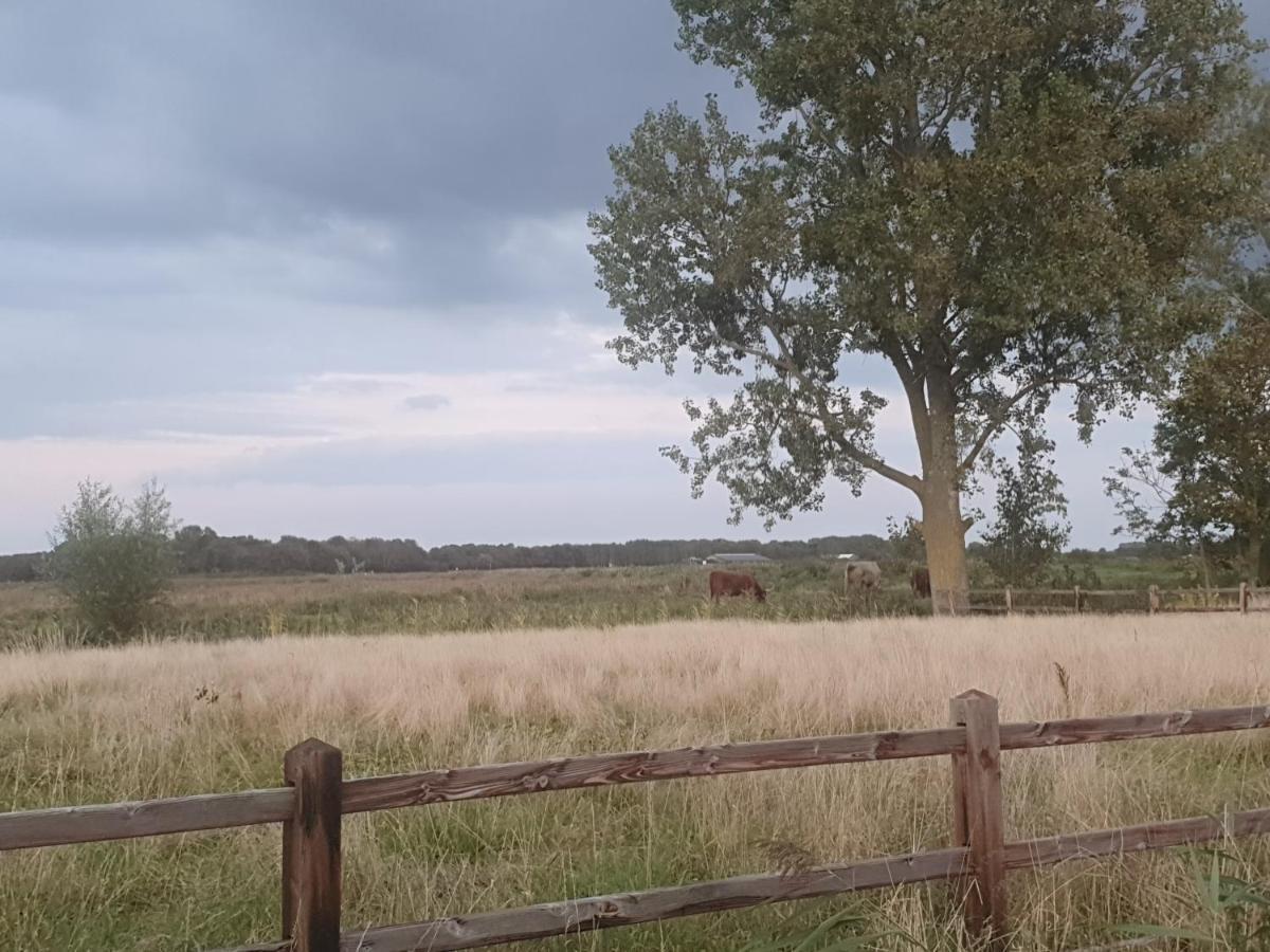 Cottage Geestmerambacht, Een Nieuw Vrijstaande Sfeervol En Landelijk Gelegen Vakantiewoning Koedijk Екстериор снимка